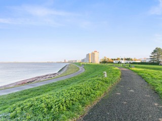 Waterfront  Waterfront 332 in Terneuzen