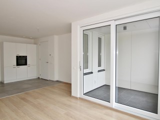  Frans van Waesberghestraat 71 in Hulst