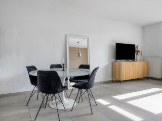 Aurelia  Aurelia 6 in Terneuzen