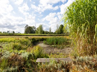 Riet- en Wulfsdijkweg  Riet- en Wulfsdijkweg 26 in Hulst