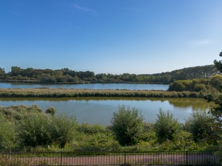 Sasdijk  Sasdijk 31 in Hulst