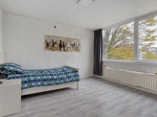 Beethovenhof  Beethovenhof 40 in Terneuzen