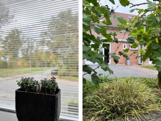 Klaprooslaan  Klaprooslaan 71 in Terneuzen